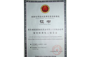 ?；钒踩珮藴驶C書